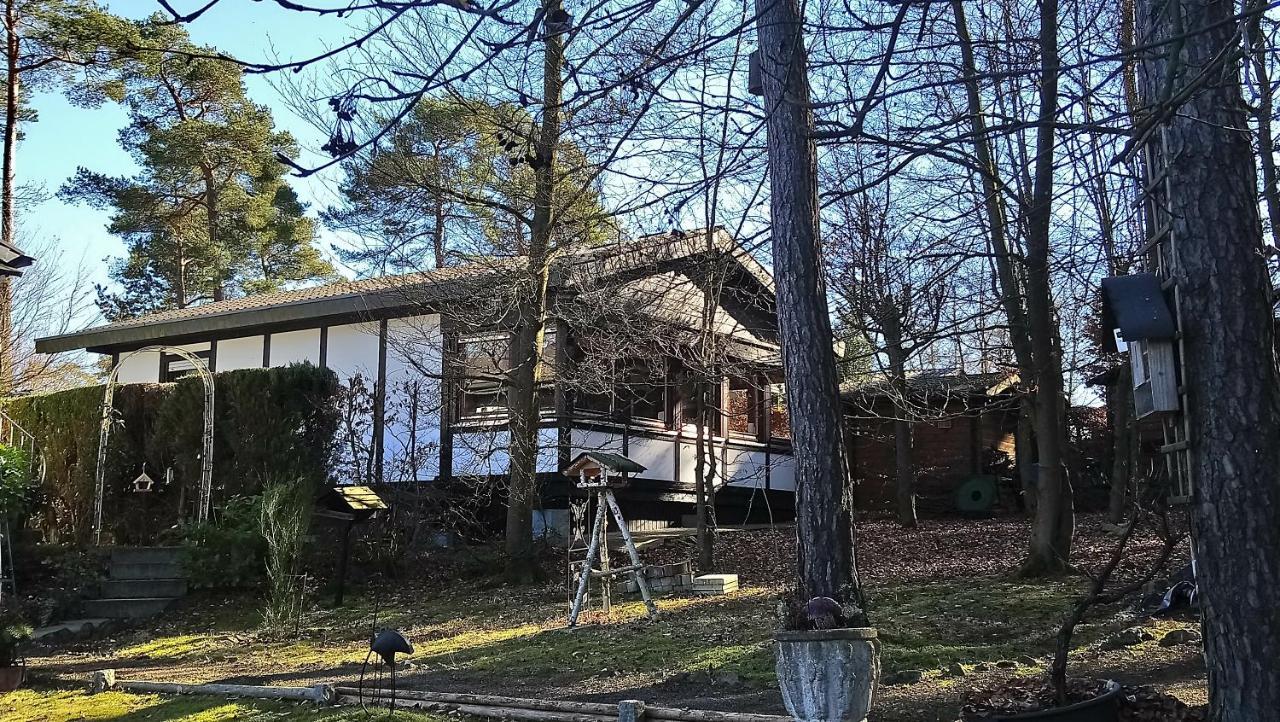 Ferienhaus Eifelpur Ahrdorf المظهر الخارجي الصورة