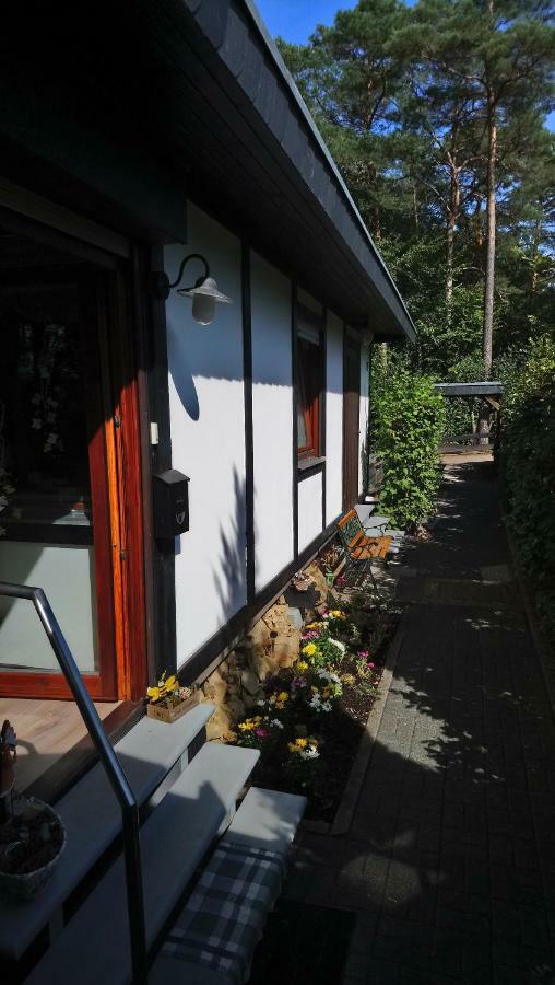 Ferienhaus Eifelpur Ahrdorf المظهر الخارجي الصورة